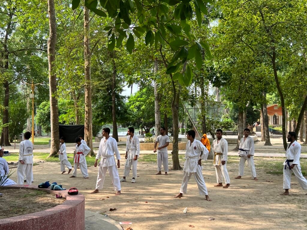 Some boys are practicing Karate 