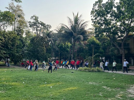 Some elderly peole are doing exercise in the morning.