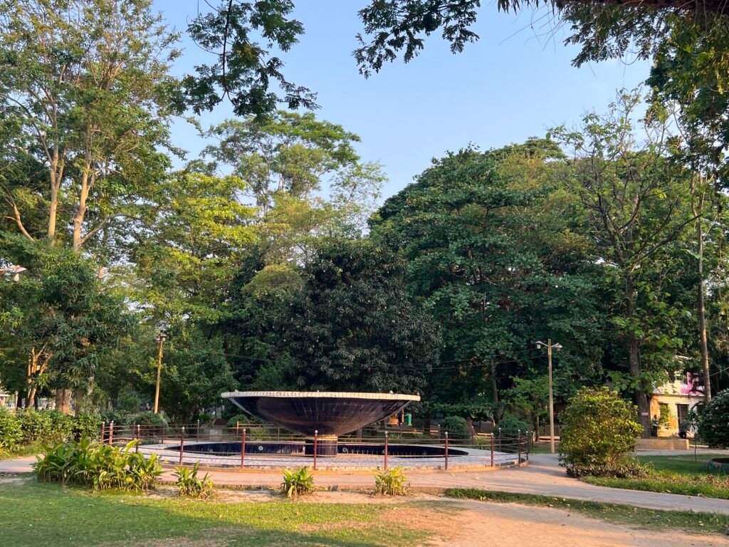 Lovly natural view in the morning 