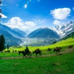 Tourist-Places-in-Kashmir-feature-compressed